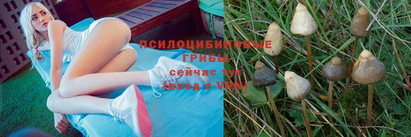 мяу мяу кристалл Алексеевка