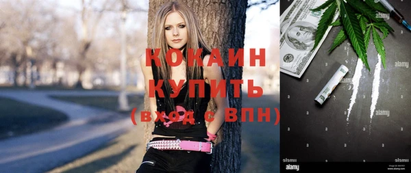 крисы Алзамай